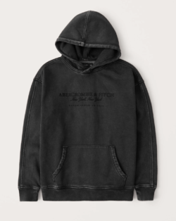 Las Rebajas en Abercrombie para Invierno sudadera capucha logo bordado