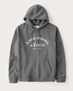 Las Rebajas en Abercrombie para Invierno sudadera capucha logo polar