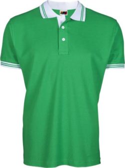 Catalogo joylu hombre polo dos colores verde